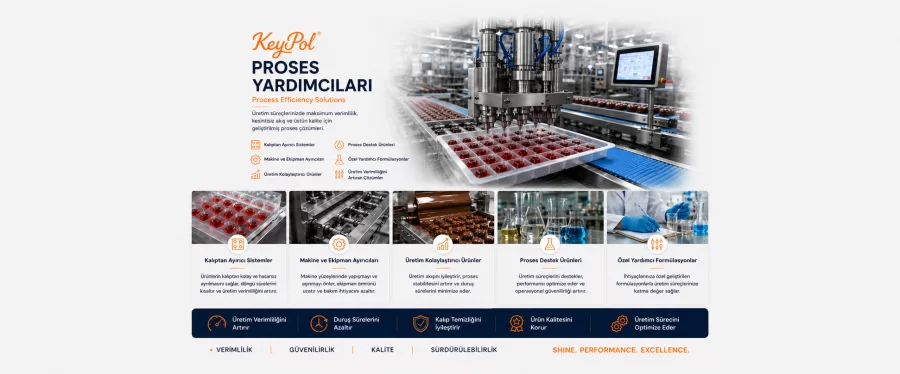 Proses Yardımcıları